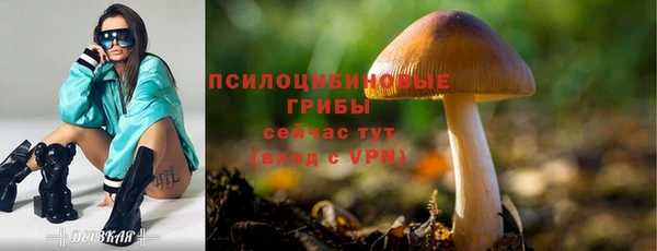 наркотики Беломорск