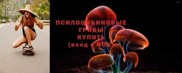 ешки Богданович