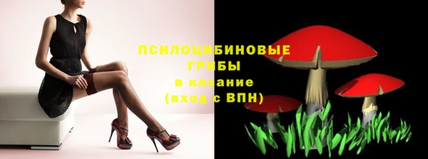 ГАЛЛЮЦИНОГЕННЫЕ ГРИБЫ Белокуриха
