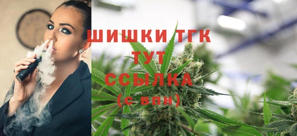 ешки Богданович