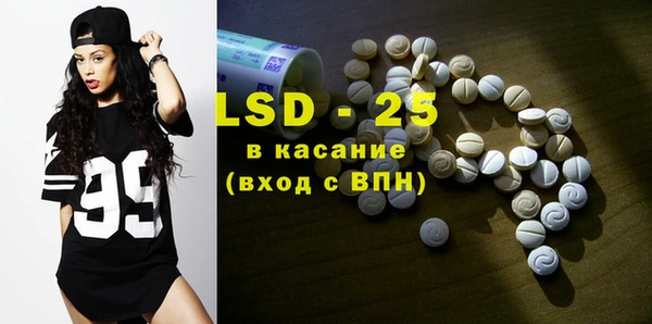 ГАЛЛЮЦИНОГЕННЫЕ ГРИБЫ Белокуриха